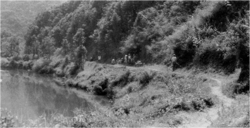 峥嵘岁月—我国第一个“金钉子”建立过程随笔-张元动